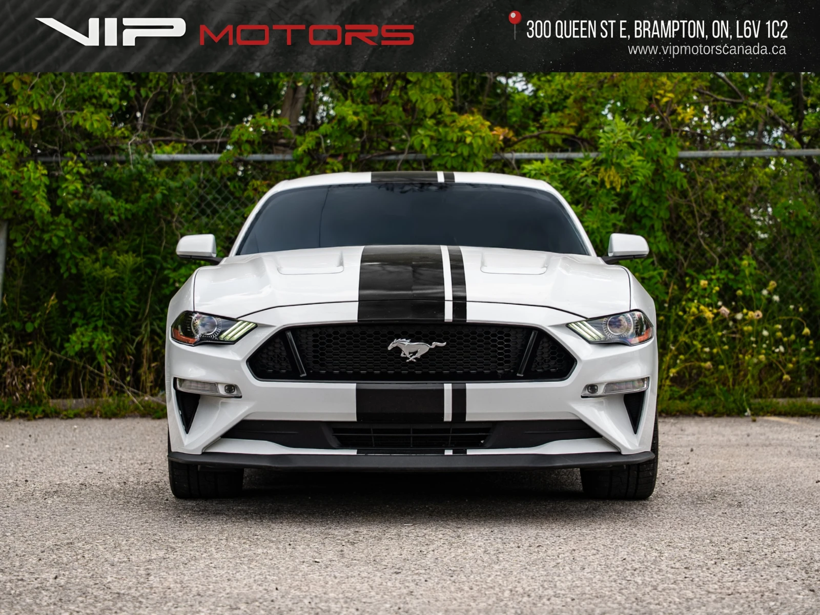Ford Mustang Performance Package | Manual| Iconic Muscle, снимка 2 - Автомобили и джипове - 56063982
