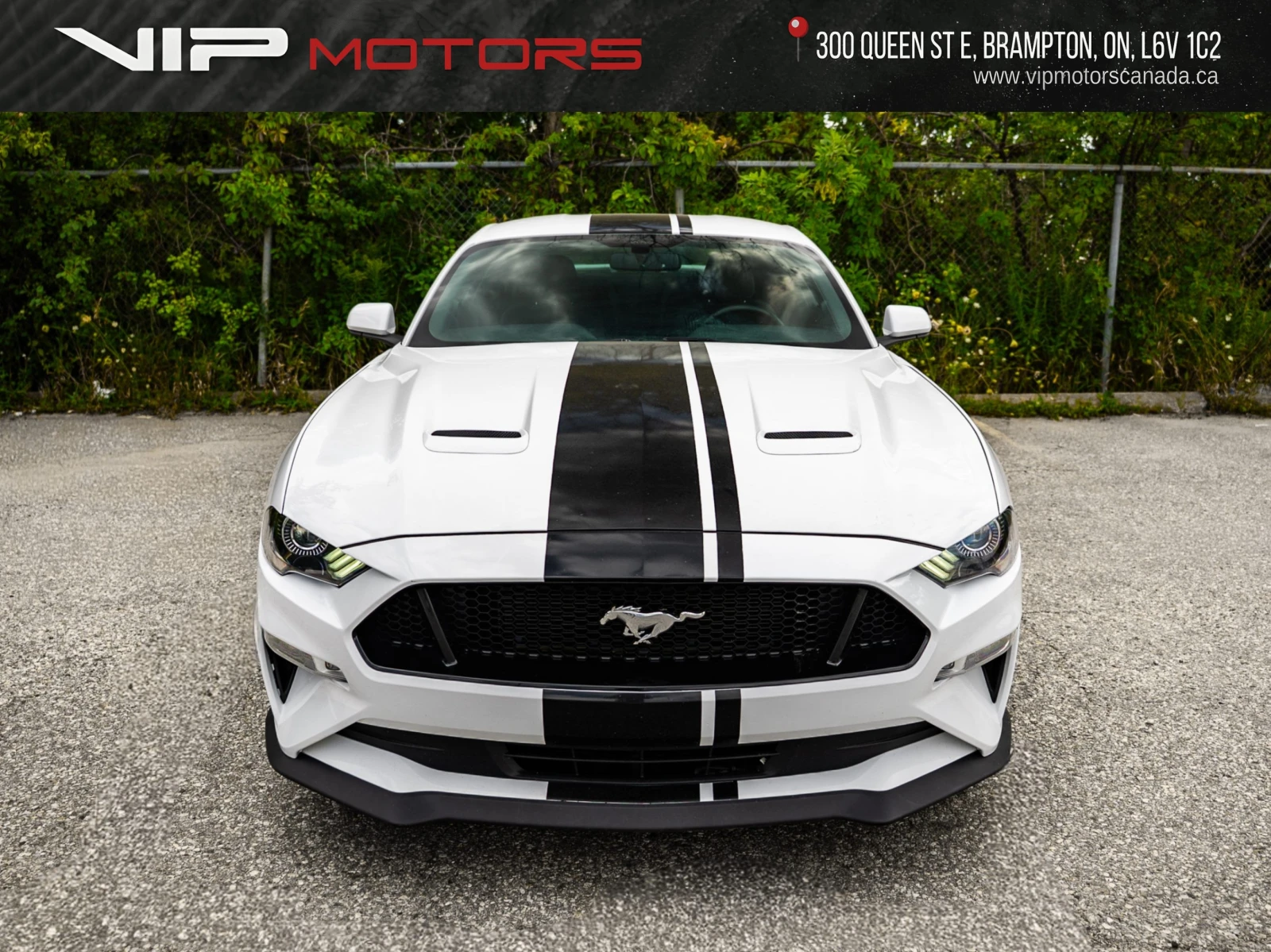 Ford Mustang Performance Package | Manual| Iconic Muscle