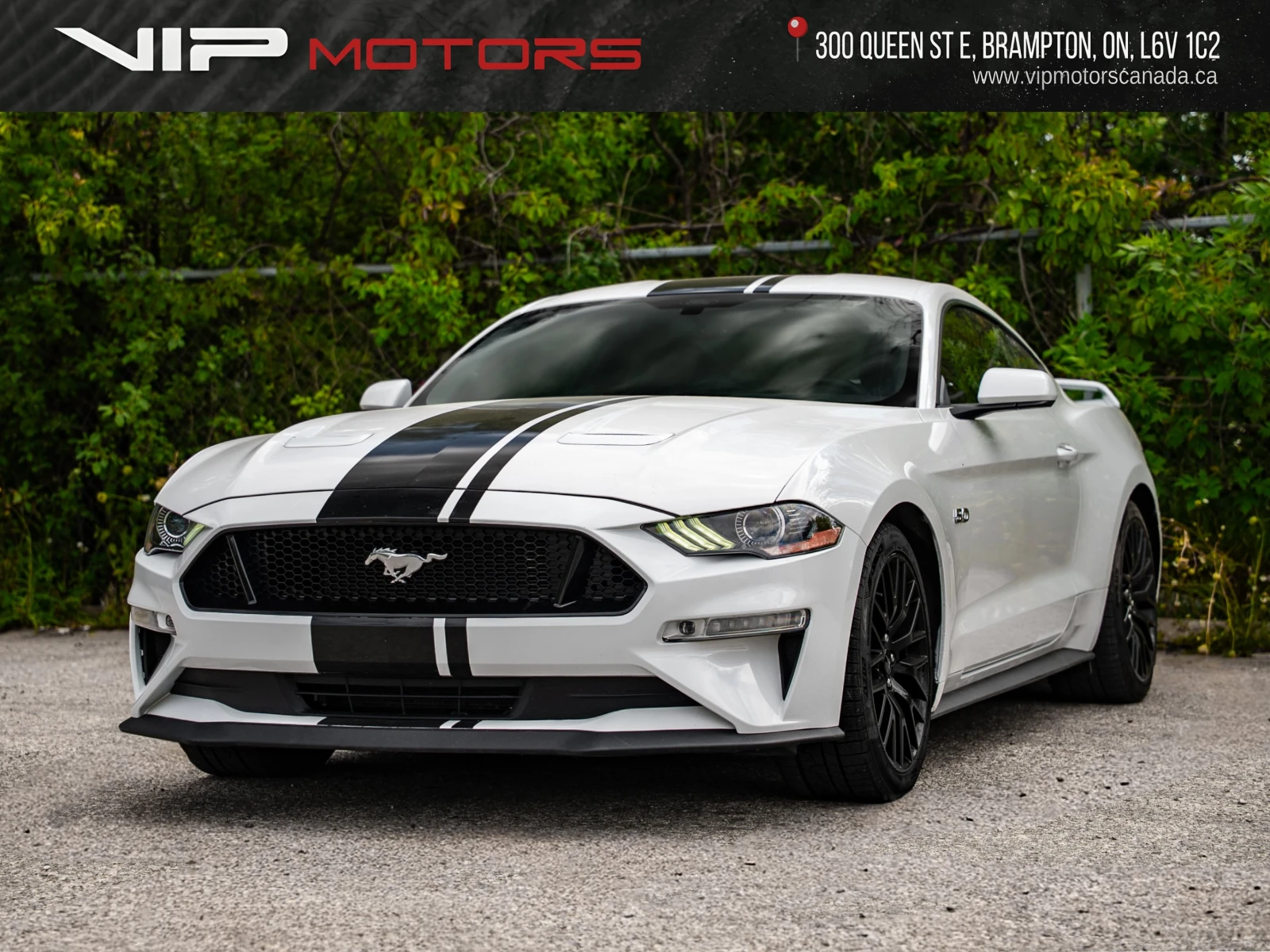 Ford Mustang Performance Package | Manual| Iconic Muscle, снимка 3 - Автомобили и джипове - 56063982