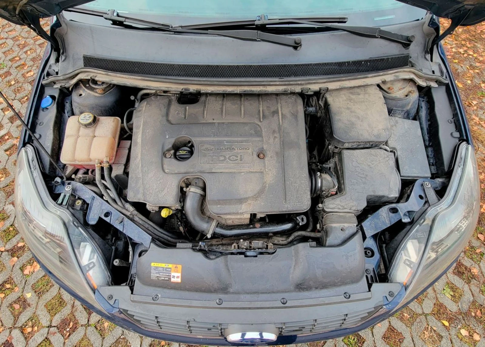 Ford Focus Titanium , ESC ( Electronic stability control ) - изображение 9