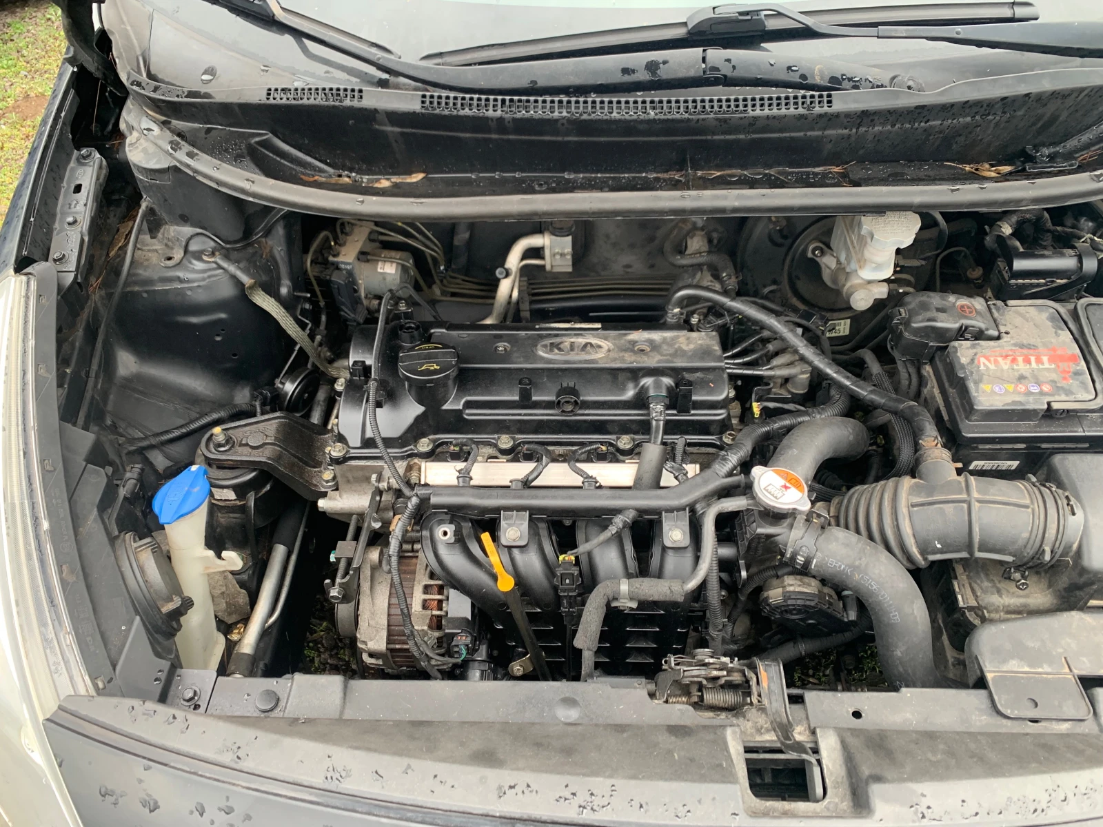 Kia Rio 1.3i | Mobile.bg � ����������� 13