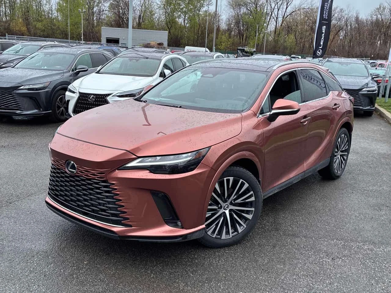 Lexus RX 350 /DISTRONIC/ОБДУХВАНЕ/CARFAX