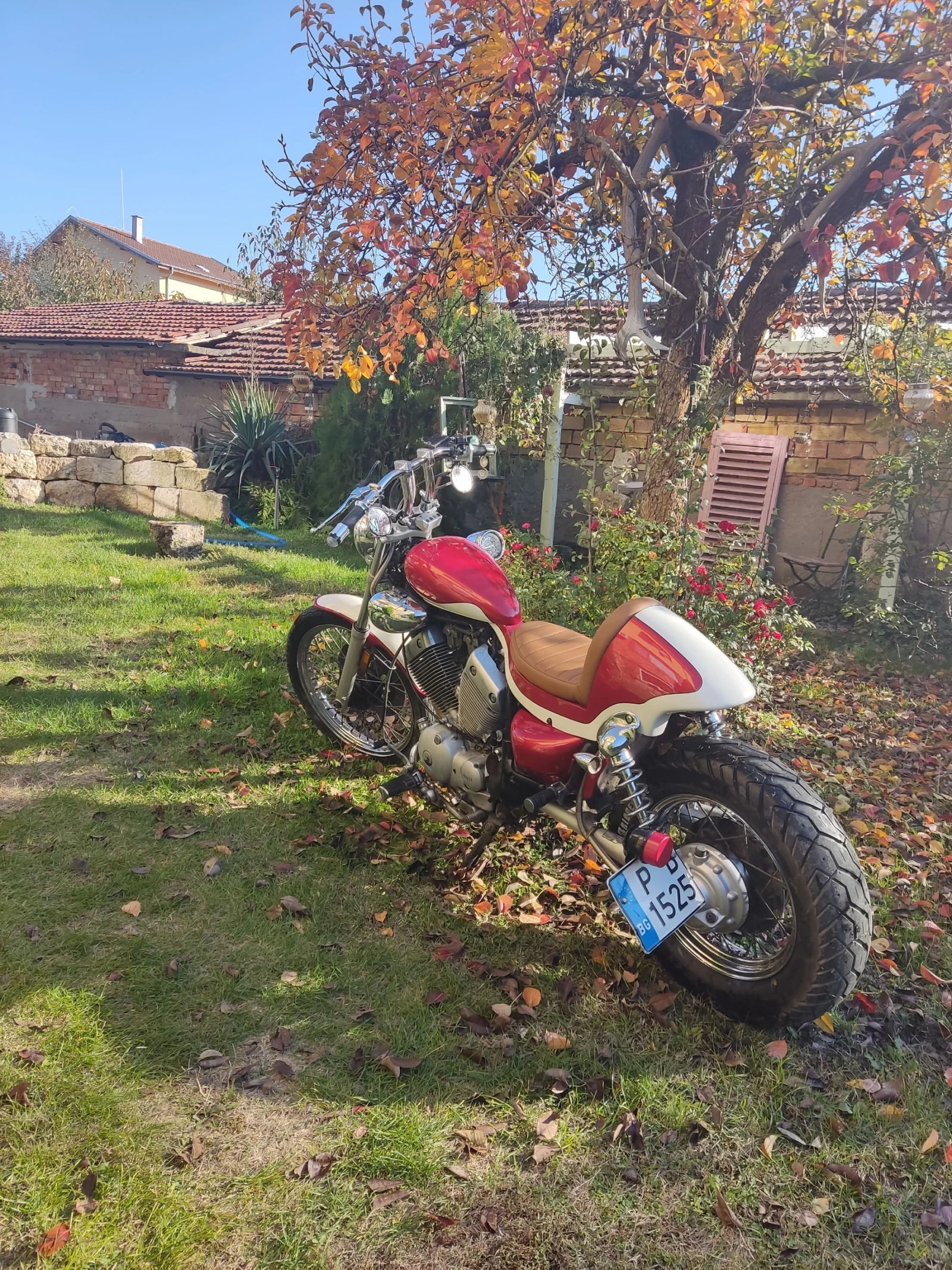 Yamaha Virago  - изображение 7