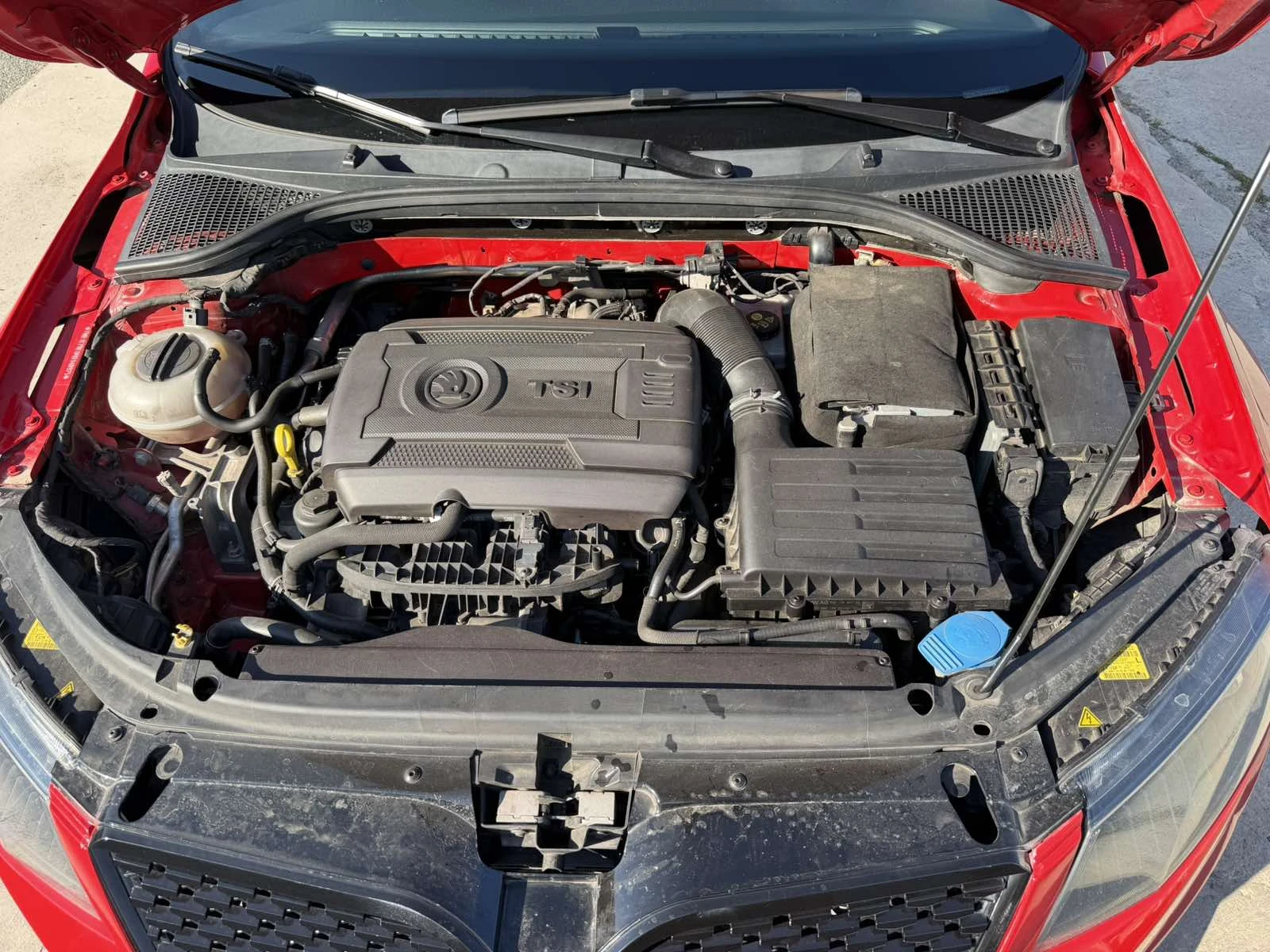 Skoda Octavia RS , снимка 13 - Автомобили и джипове - 56608045