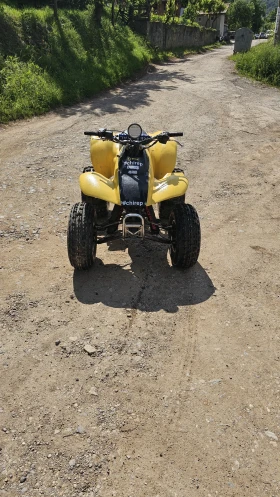     Honda Trx   300