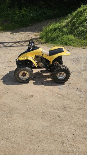     Honda Trx   300