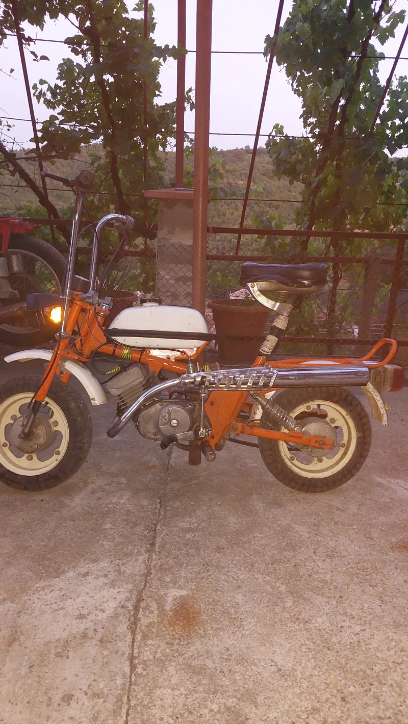 Рига Рига-26 Mini Stella Мини