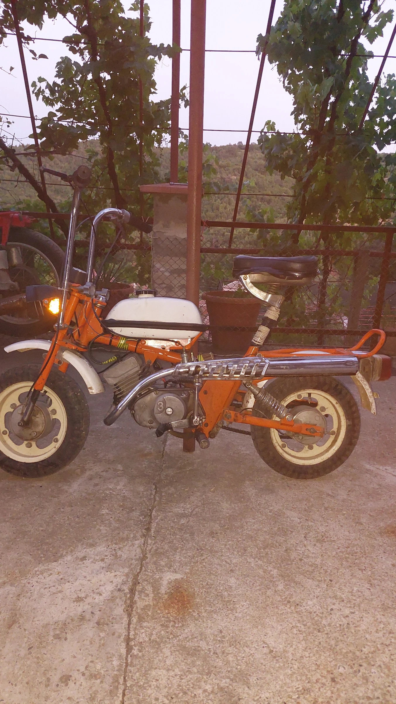 Рига Рига-26 Mini Stella Мини, снимка 1