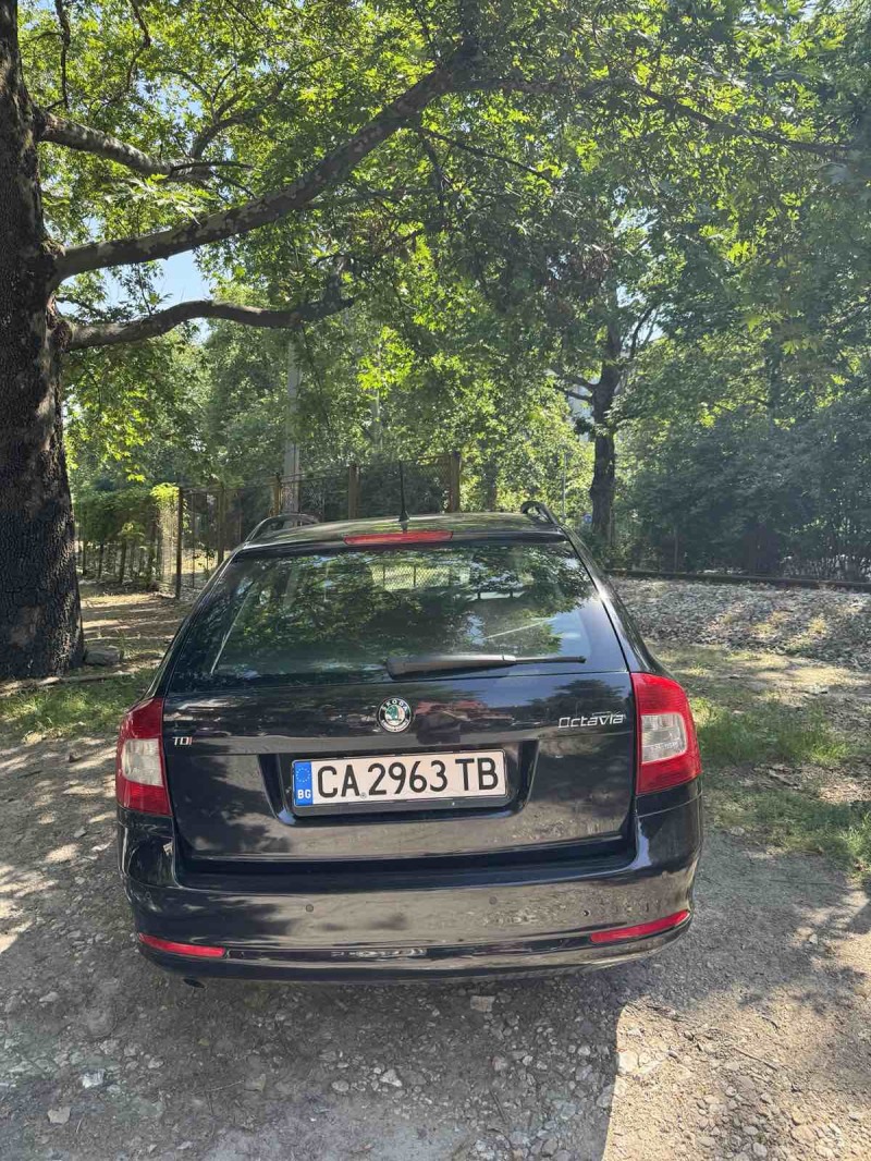 Skoda Octavia, снимка 3 - Автомобили и джипове - 46191682