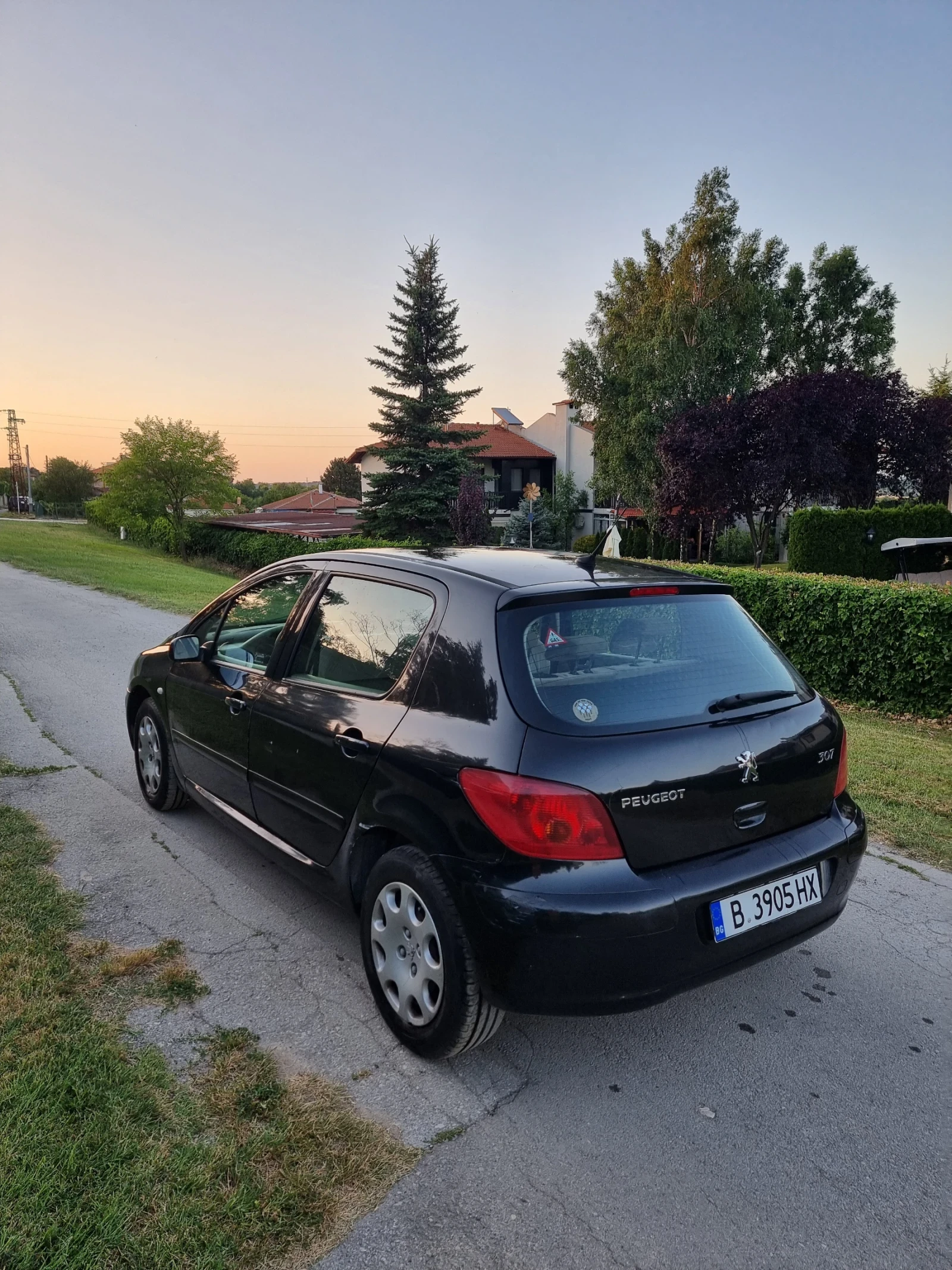 Peugeot 307, снимка 5 - Автомобили и джипове - 55081228