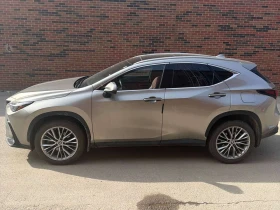 Lexus NX 350h AWD* ОБДУХВАНЕ* DISTRONIC* PANORAMA* , снимка 13