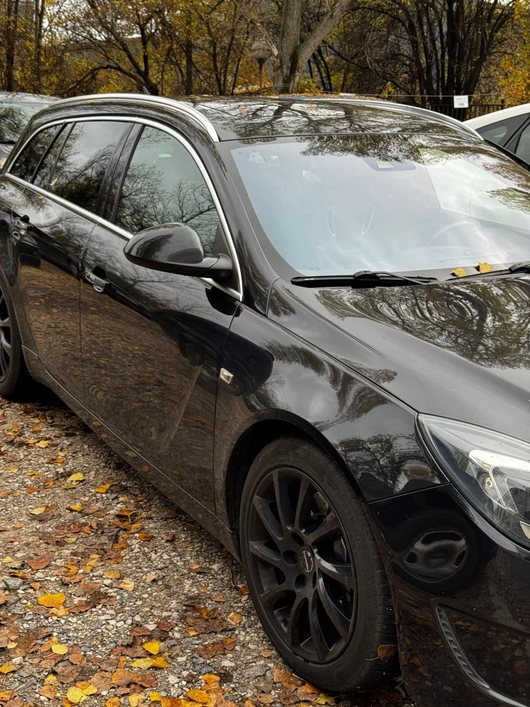Opel Insignia 2.8T, снимка 10 - Автомобили и джипове - 55326651