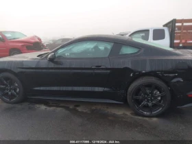 Ford Mustang ECOBOOST  /  | Mobile.bg    15