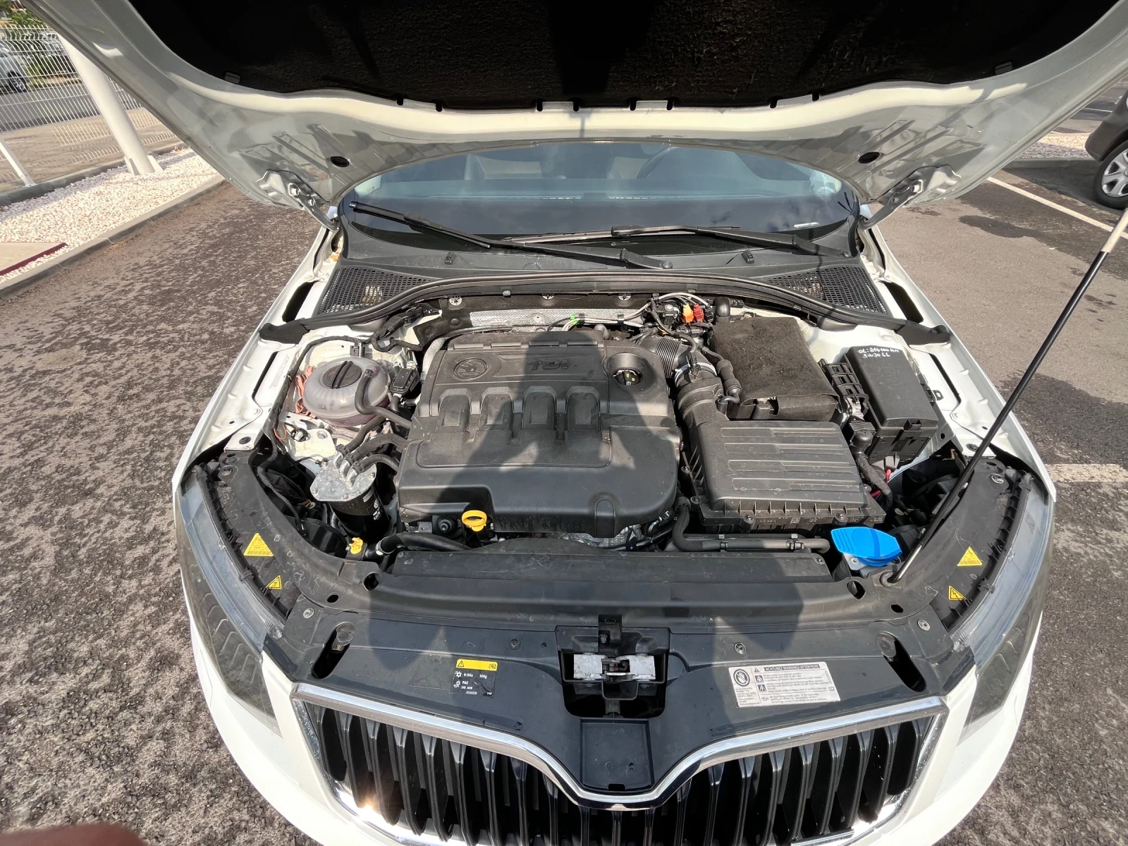 Skoda Octavia SCOUT - изображение 6