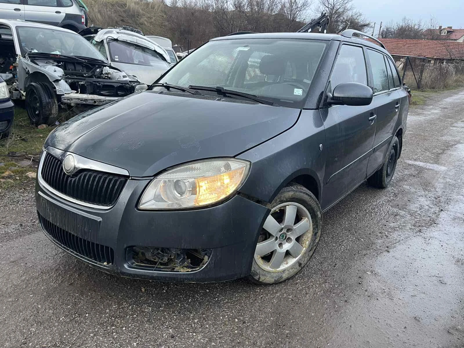 Skoda Fabia 1.9TDI, 105кс., BLS, 2009г., снимка 2 - Автомобили и джипове - 54640137