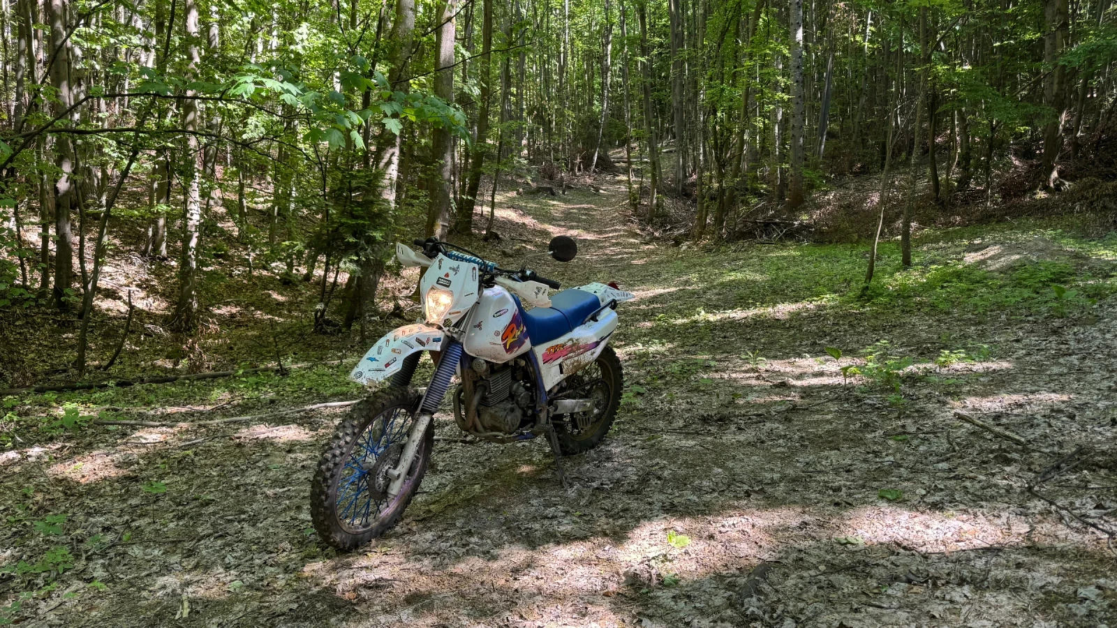 Yamaha Ttr Raid, снимка 5 - Мотоциклети и мототехника - 54945128