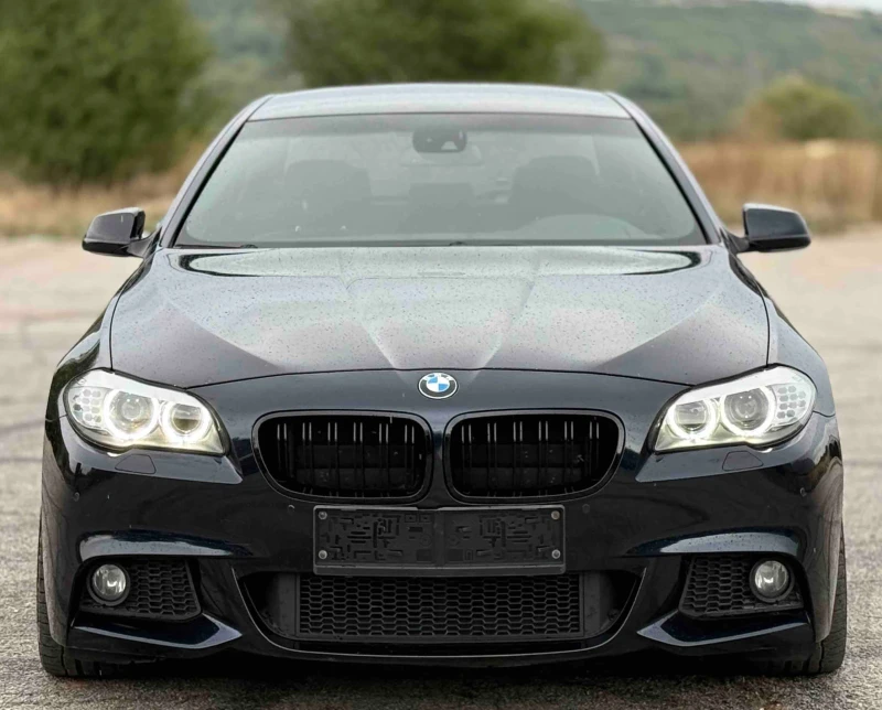 BMW 530 M-Packet, Sat, Alkantara, снимка 2 - Автомобили и джипове - 52339239