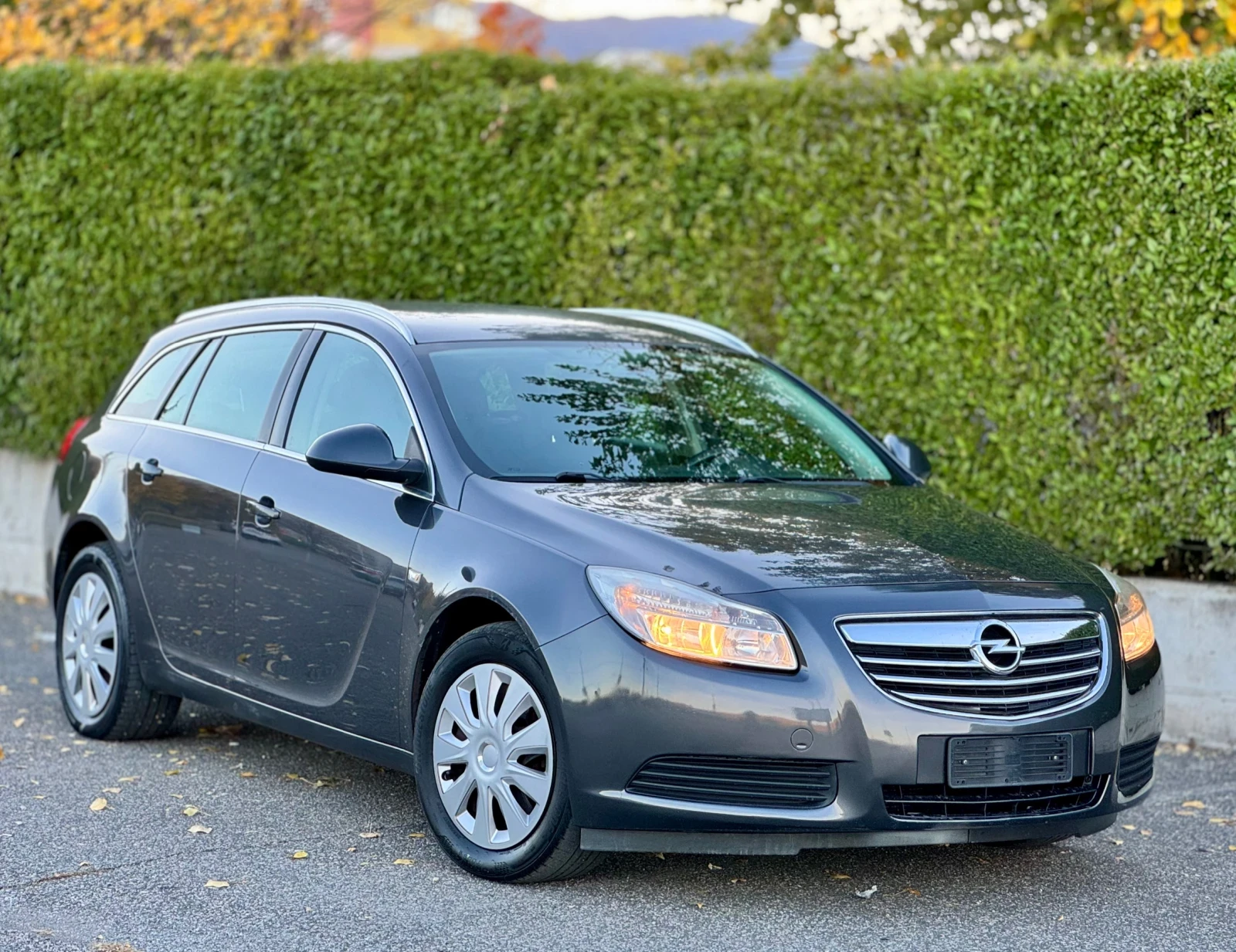 Opel Insignia 2.0CDTI~130hp~ITALY - изображение 3