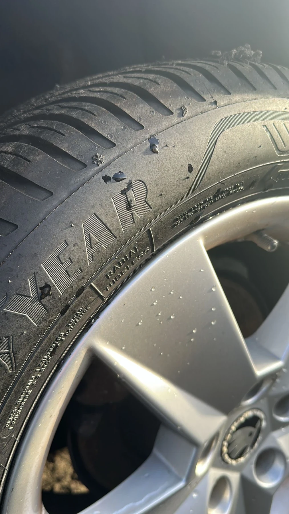 Skoda Octavia ��� ���� 1.6 GREENLINE  | Mobile.bg � ����������� 13