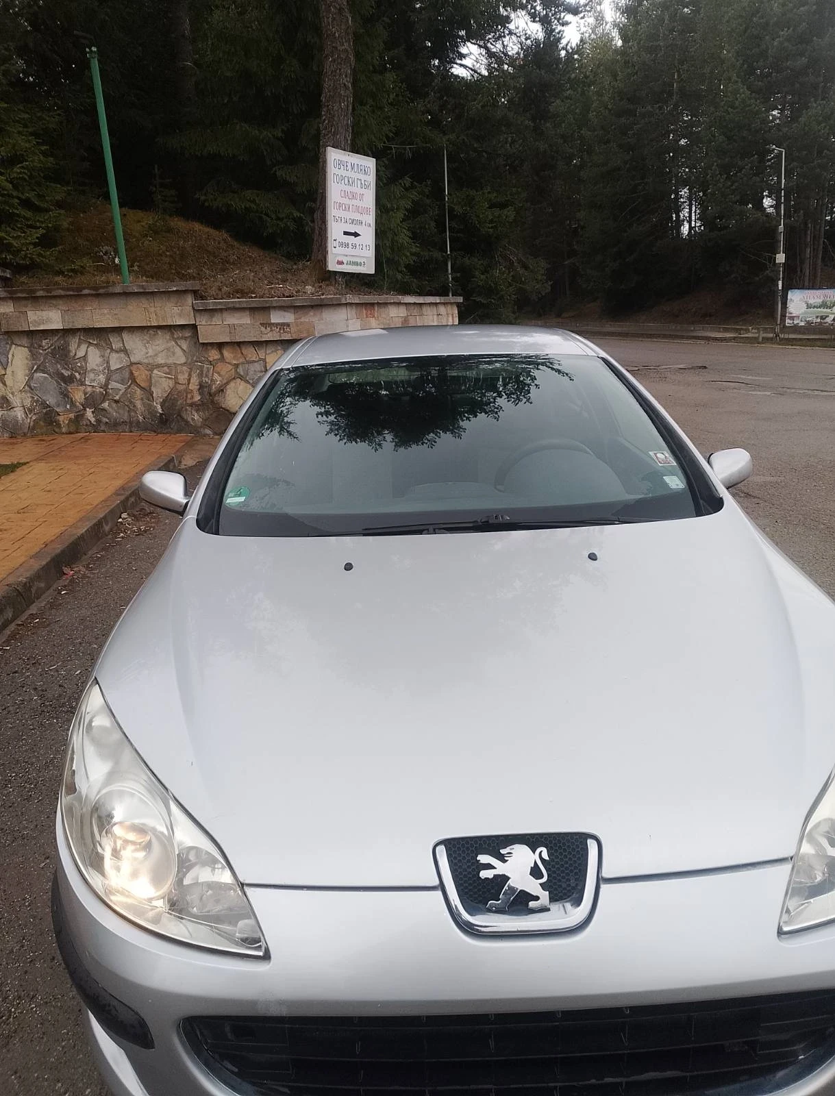 Peugeot 407, снимка 2 - Автомобили и джипове - 54494501