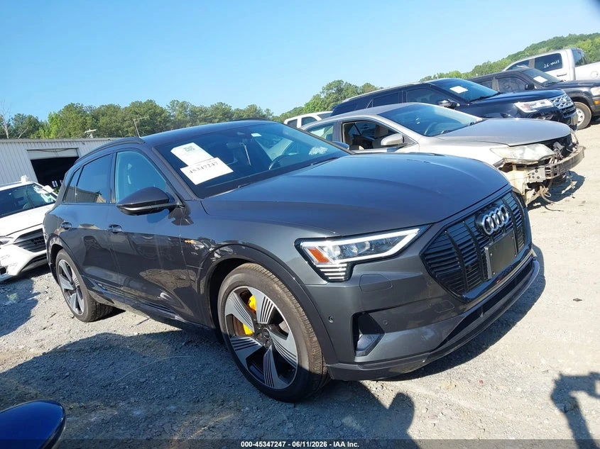 Audi E-Tron Premium Plus Quattro, снимка 13 - Автомобили и джипове - 55140025
