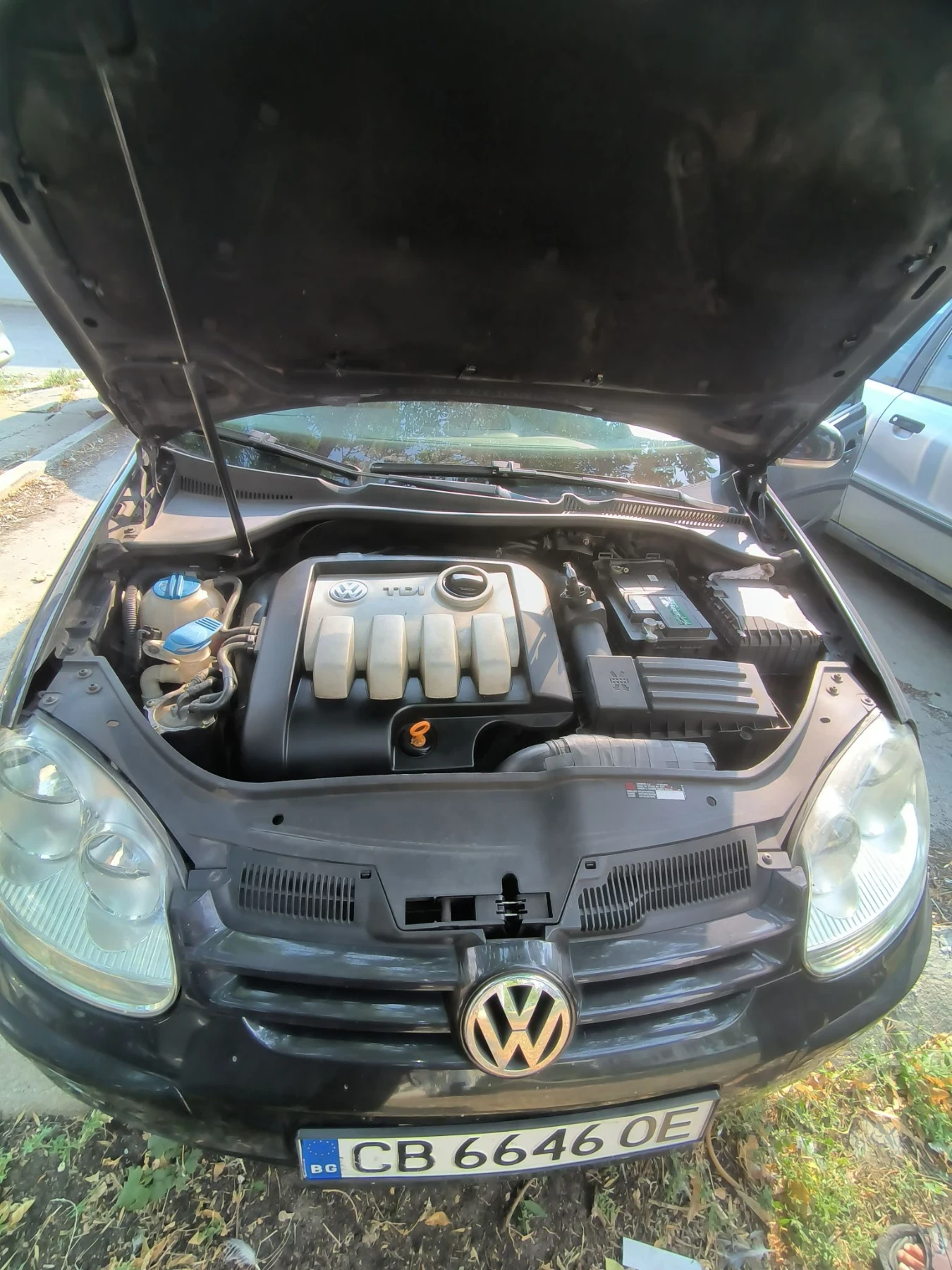 VW Golf