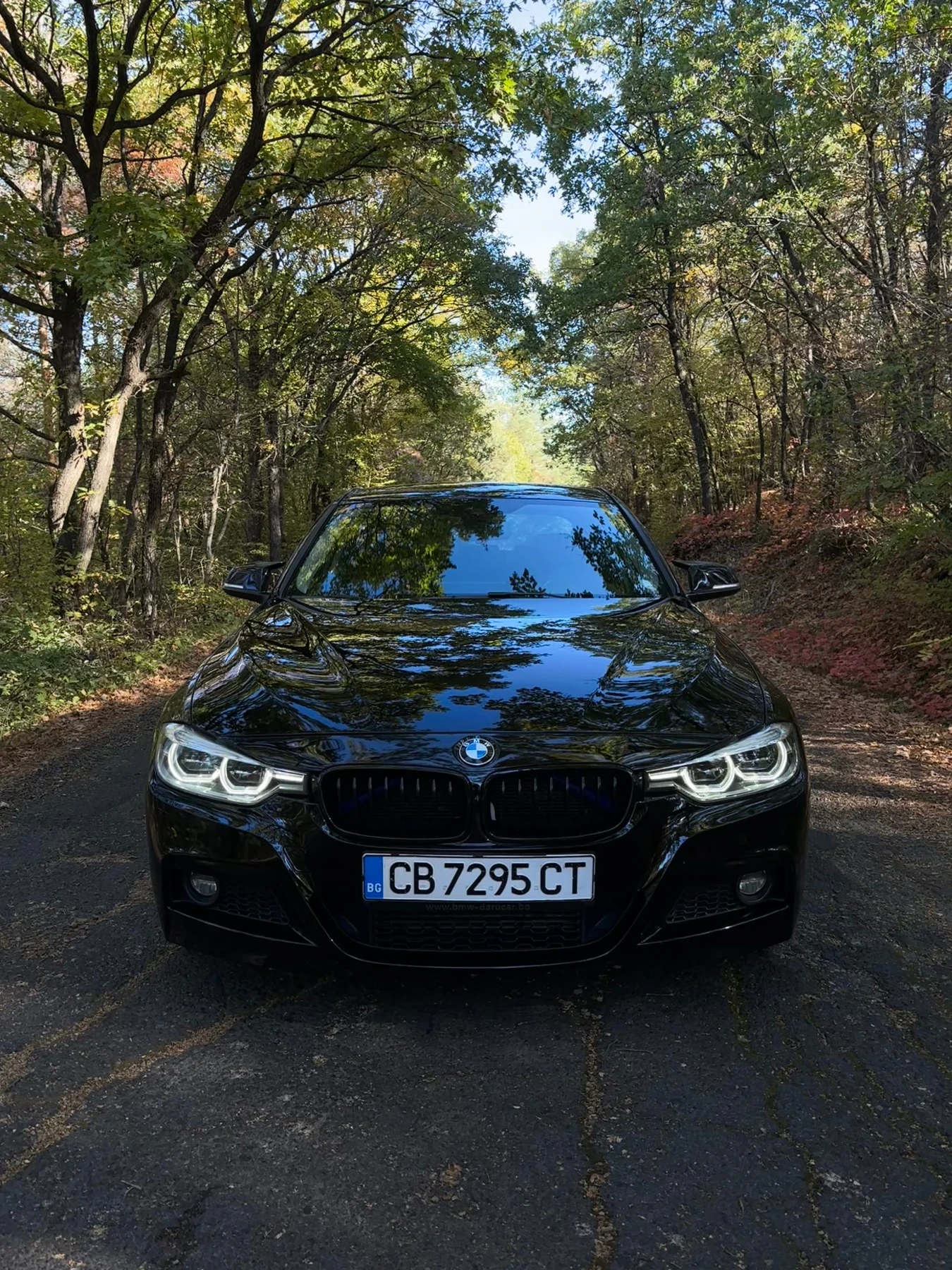 BMW 330 | Mobile.bg � ����������� 1
