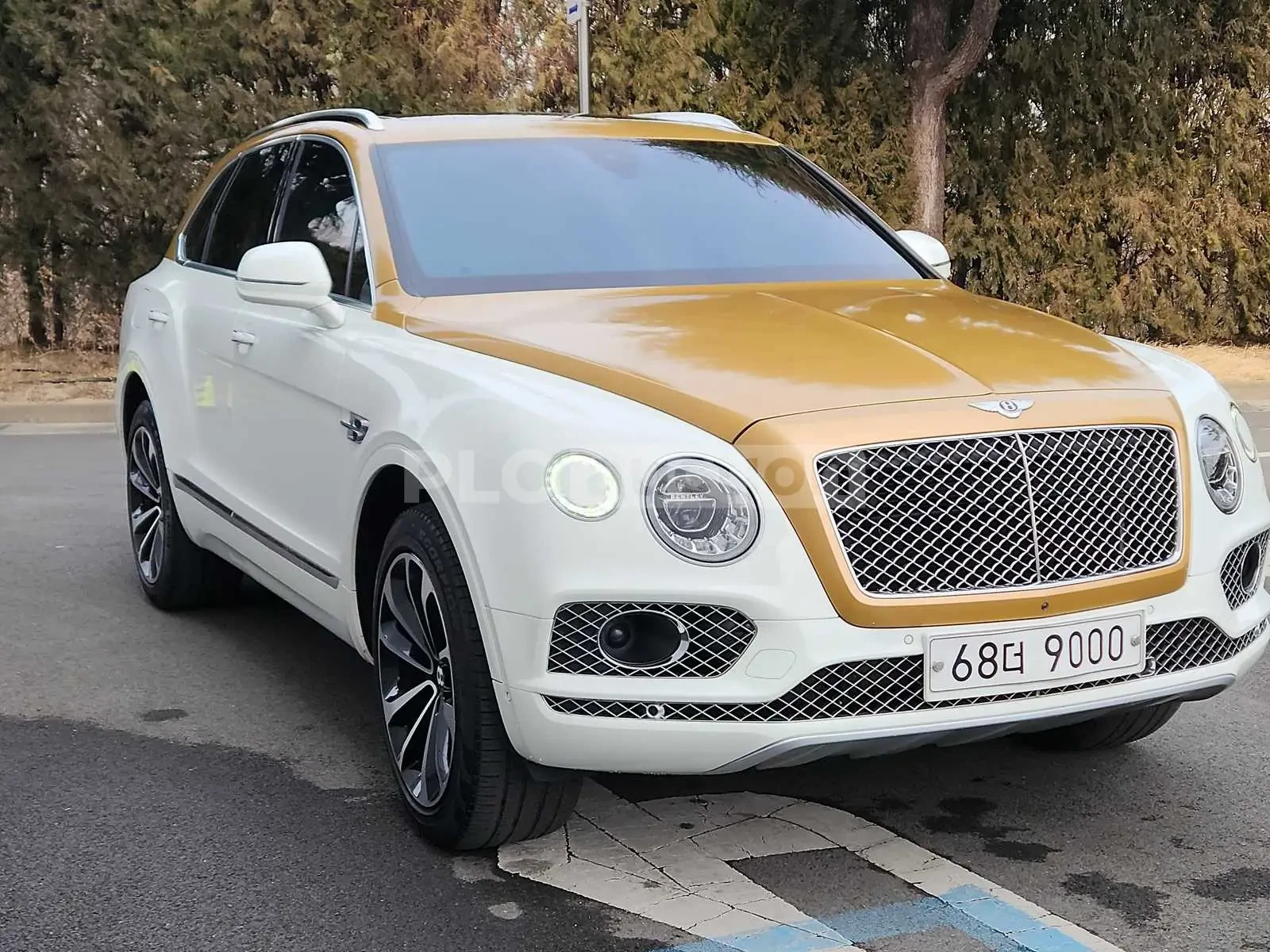 Bentley Bentayga ����/�����/���������� �� ������ | Mobile.bg � ����������� 3