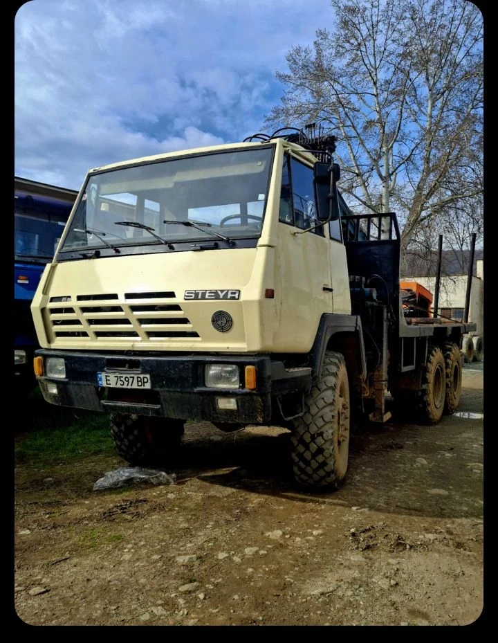 Steyr 19