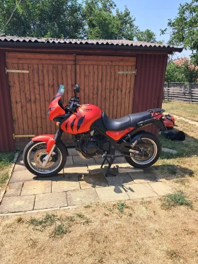     Triumph Tiger 955i