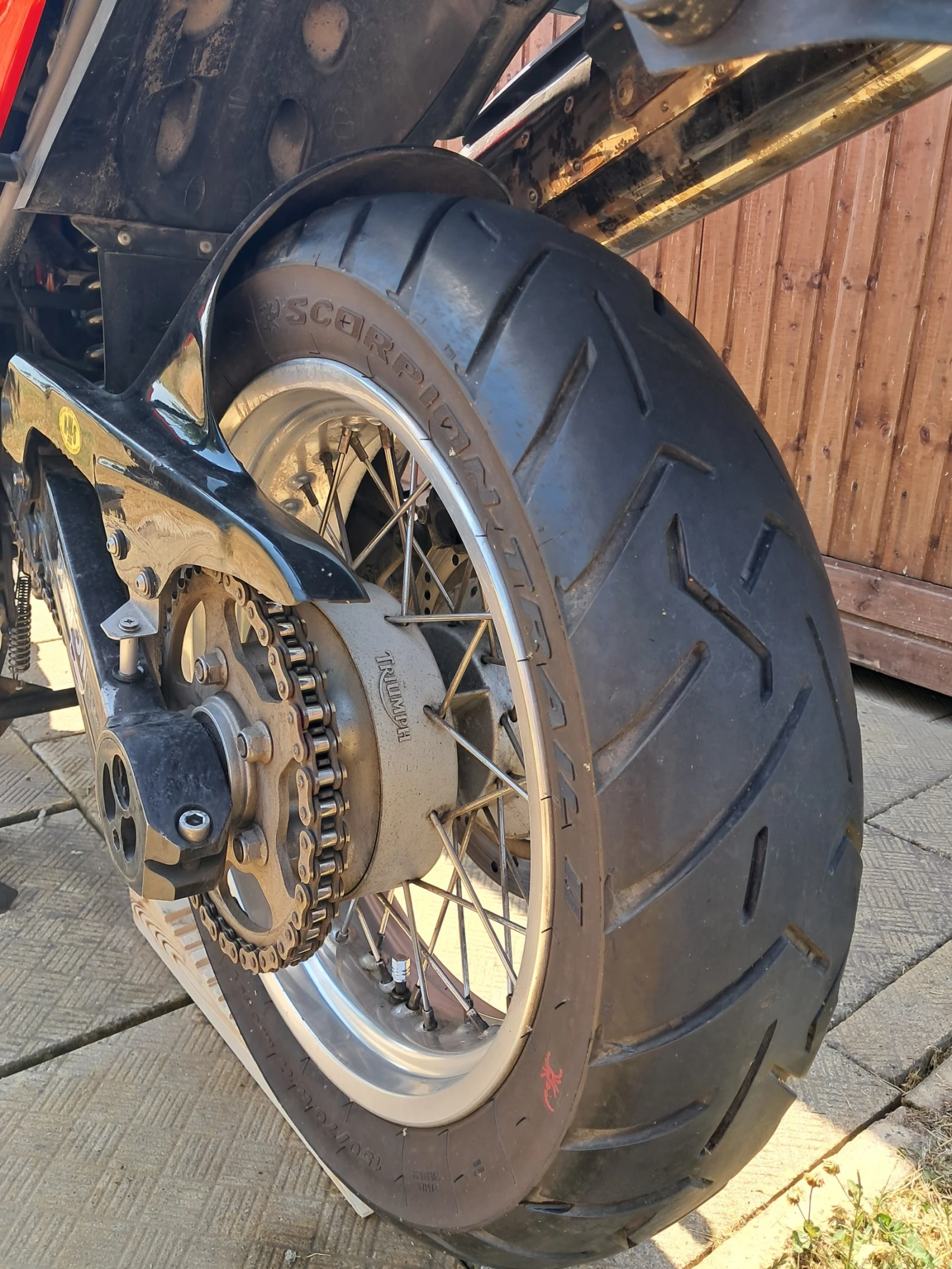 Triumph Tiger 955i - изображение 5