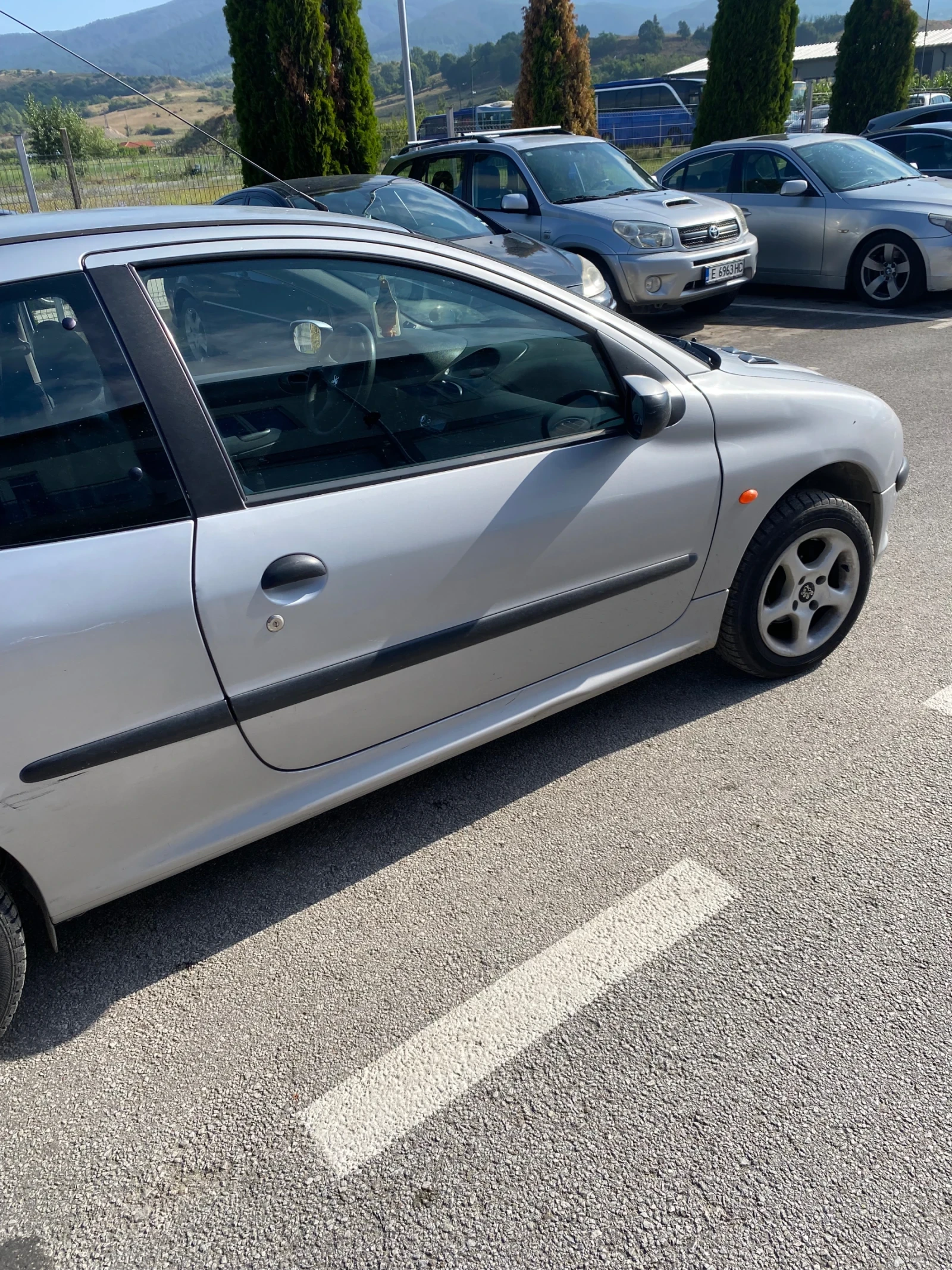 Peugeot 206, снимка 11 - Автомобили и джипове - 55333151
