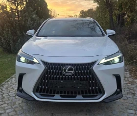 Lexus NX  350 Premium 2024г., снимка 1