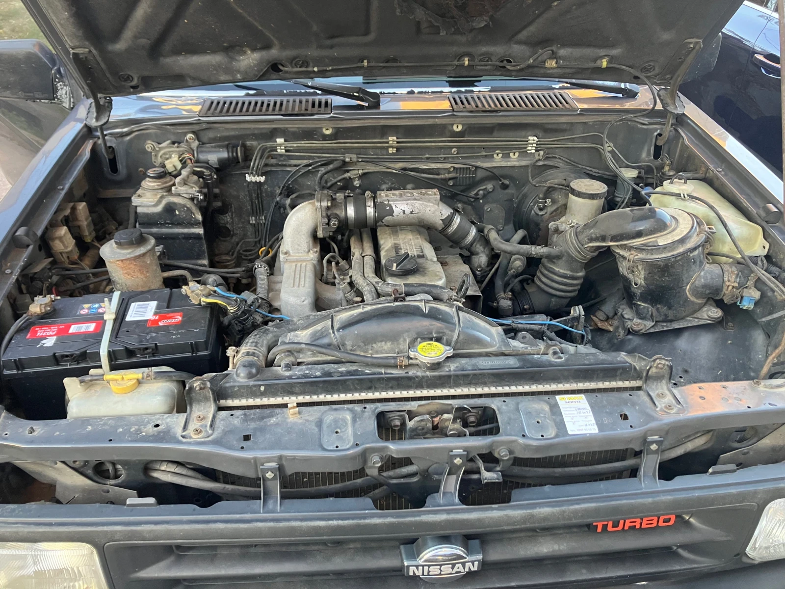 Nissan Terrano 1 - изображение 4