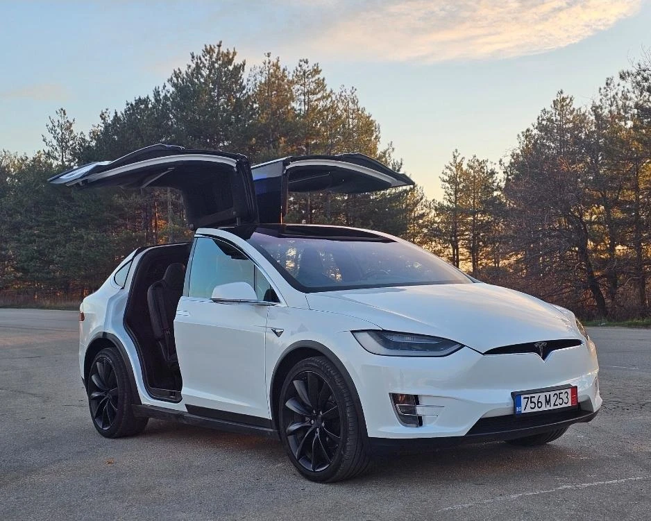 Tesla Model X X100D Гаранция - изображение 7