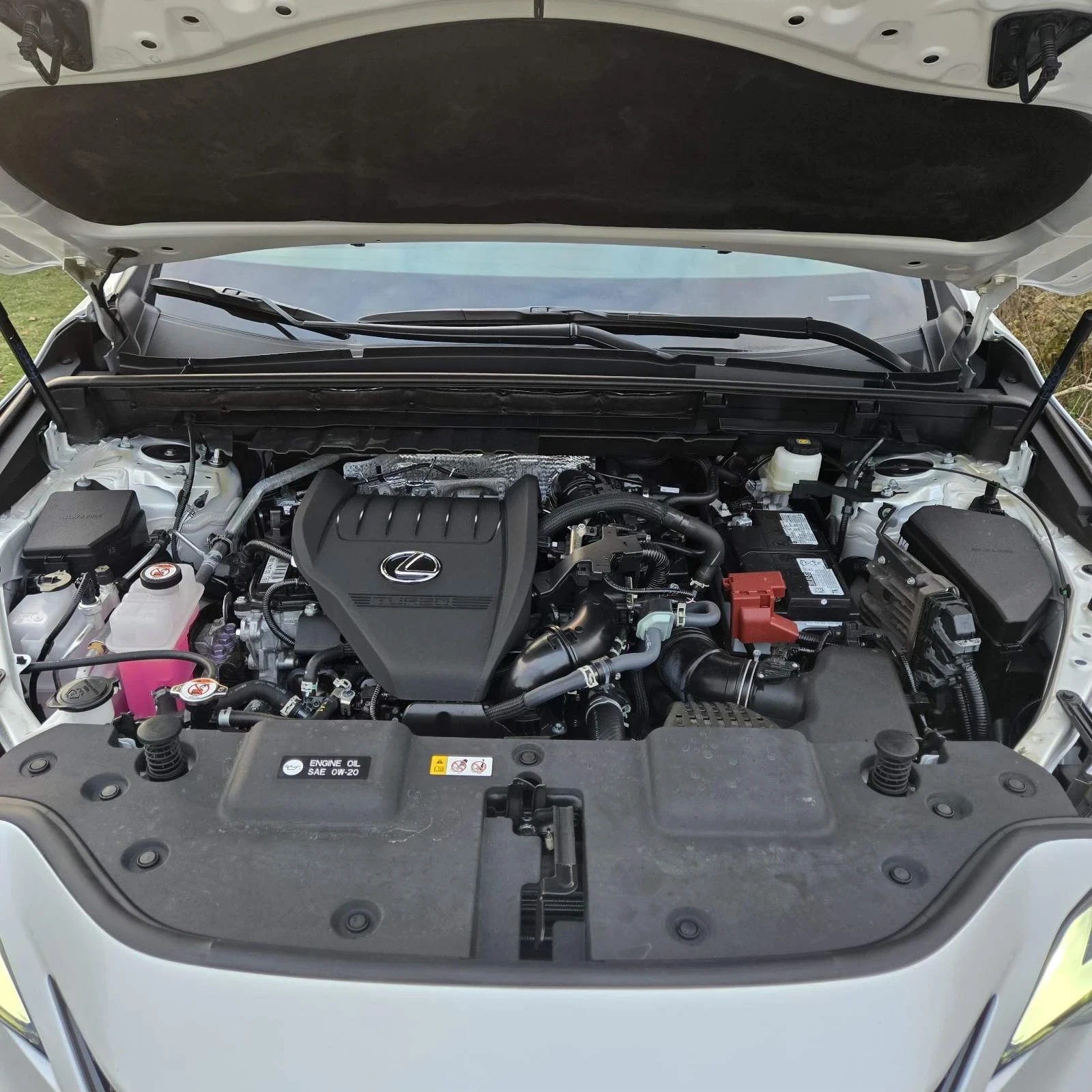 Lexus NX NX 350 Premium Edition  | Mobile.bg � ����������� 6