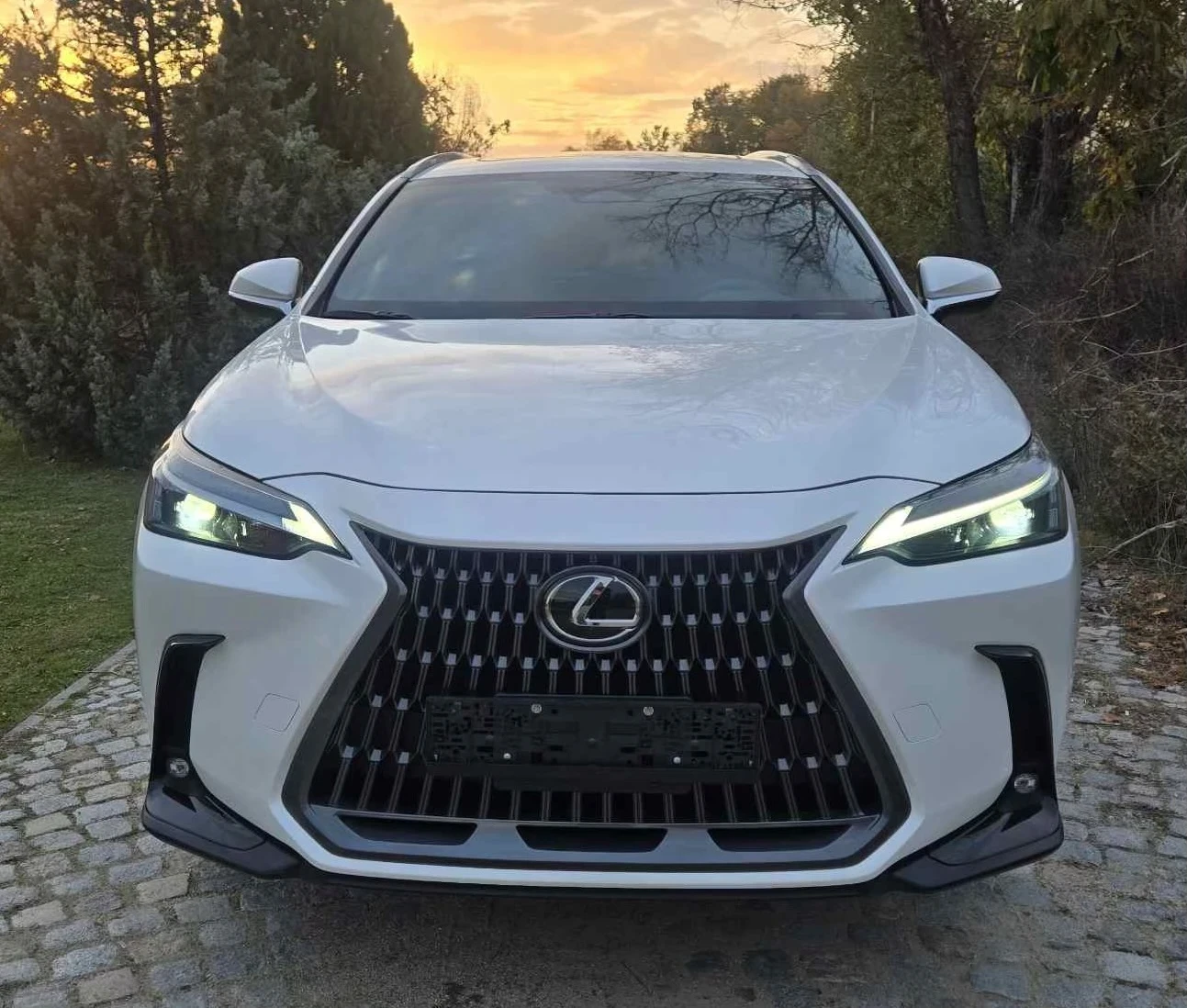 Lexus NX NX 350 Premium Edition  | Mobile.bg � ����������� 1