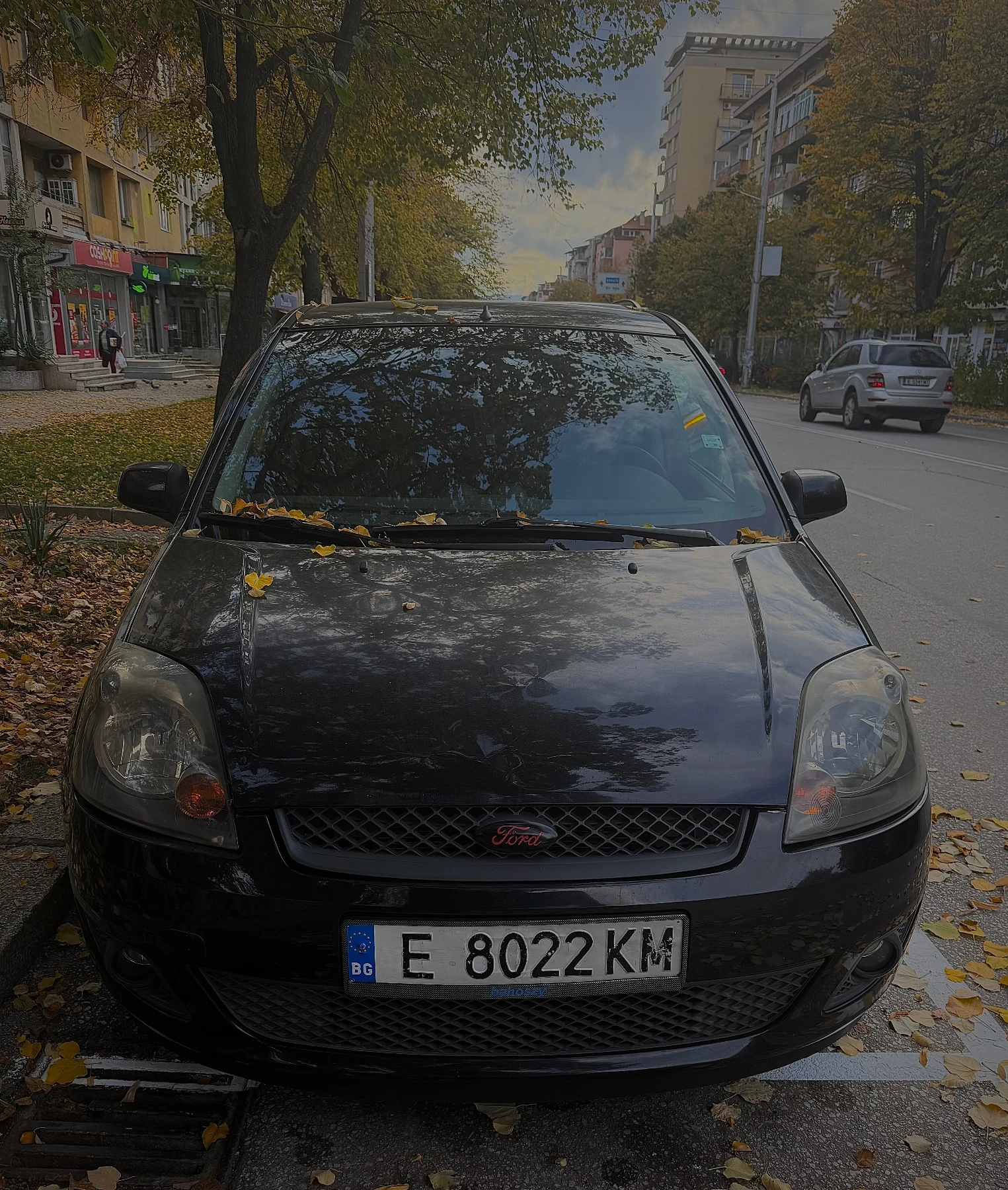 Ford Fiesta 1.4 tdci, снимка 1