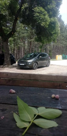 Обява за продажба на Peugeot 3008 1.6Hdi ~7 000 лв. - изображение 10