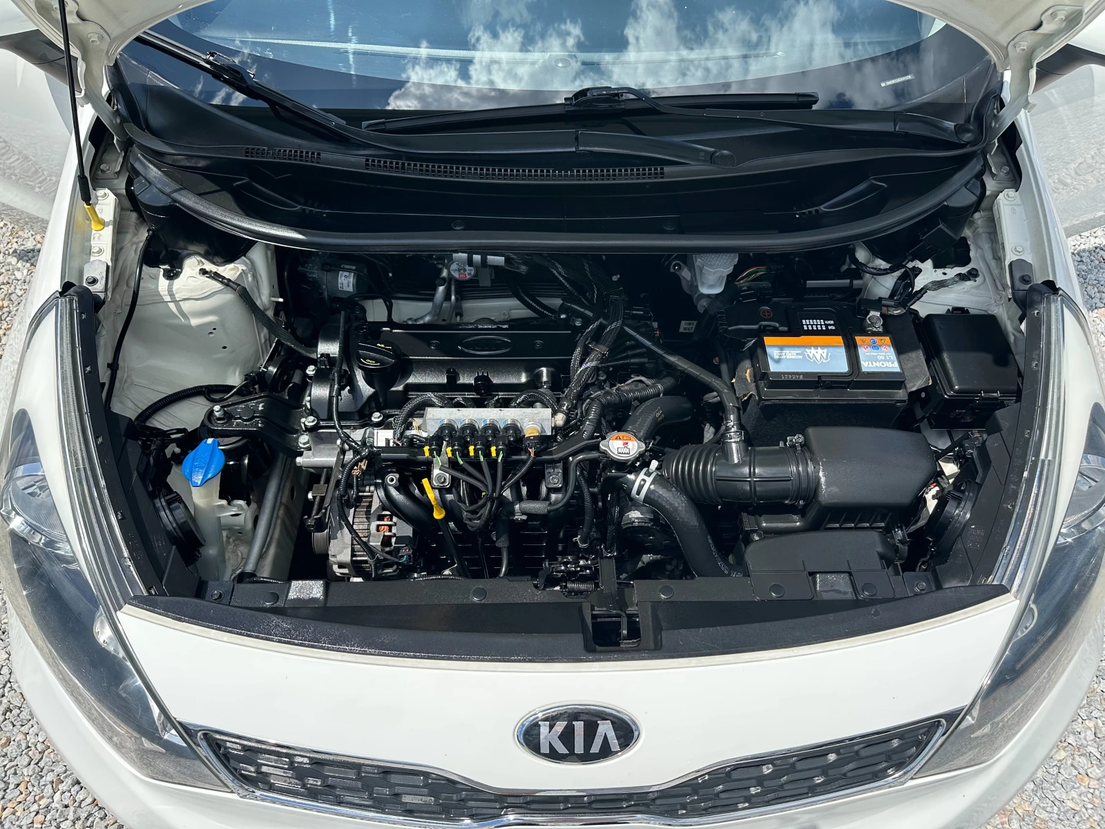 Kia Rio 1.3i* ГАЗ, снимка 16 - Автомобили и джипове - 54995811