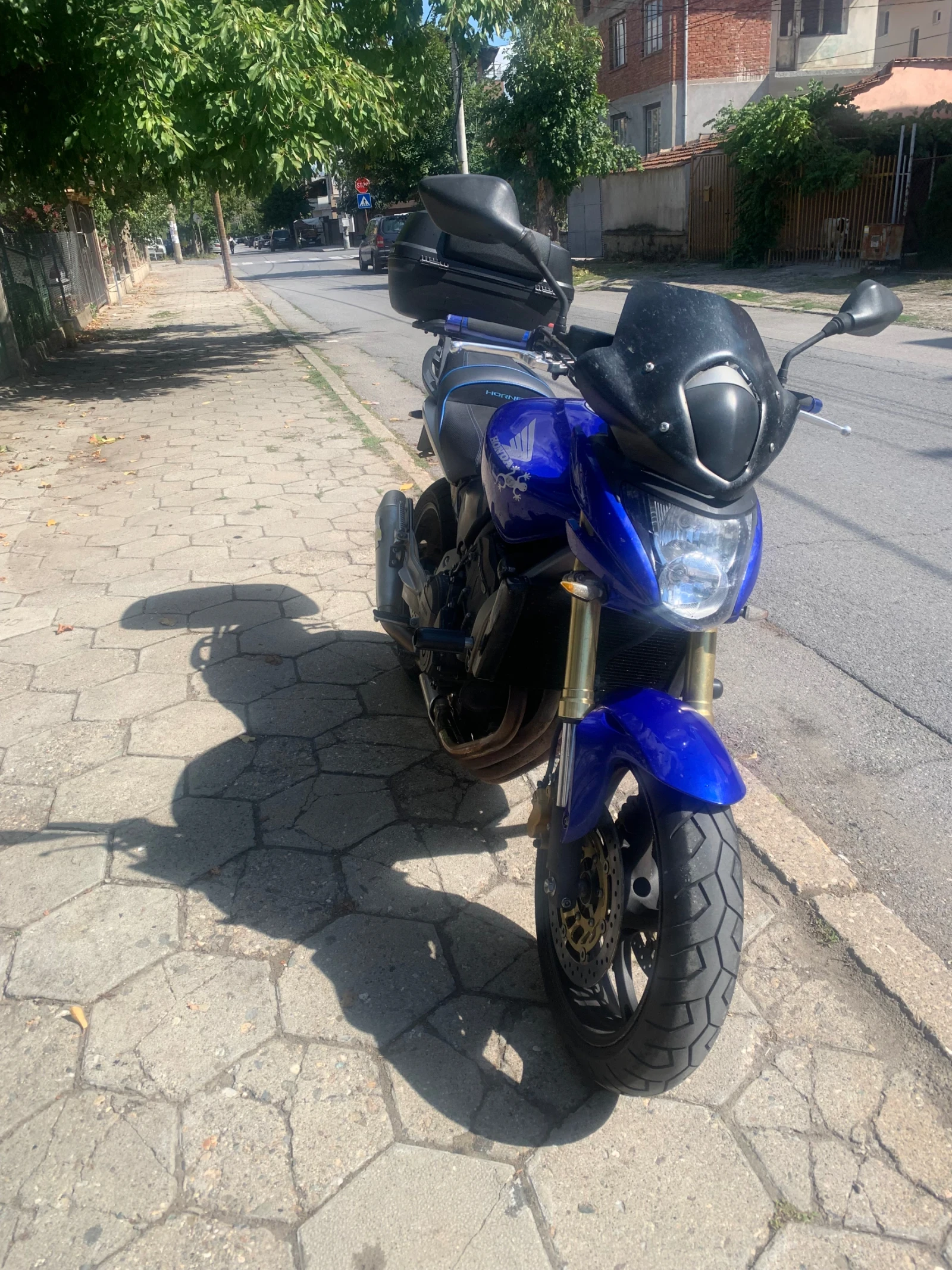 Honda Hornet