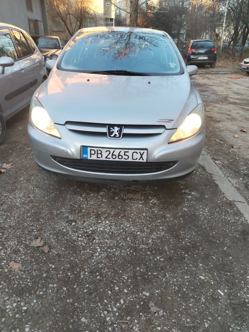 Peugeot 307, снимка 14 - Автомобили и джипове - 49378425