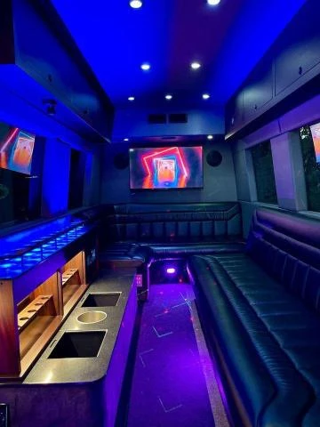 Mercedes-Benz Sprinter party bus, снимка 6 - Бусове и автобуси - 48894009