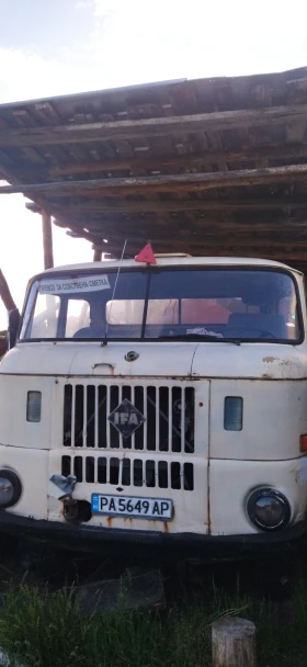  Ifa W