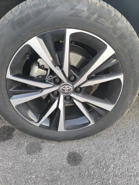 ������ ����