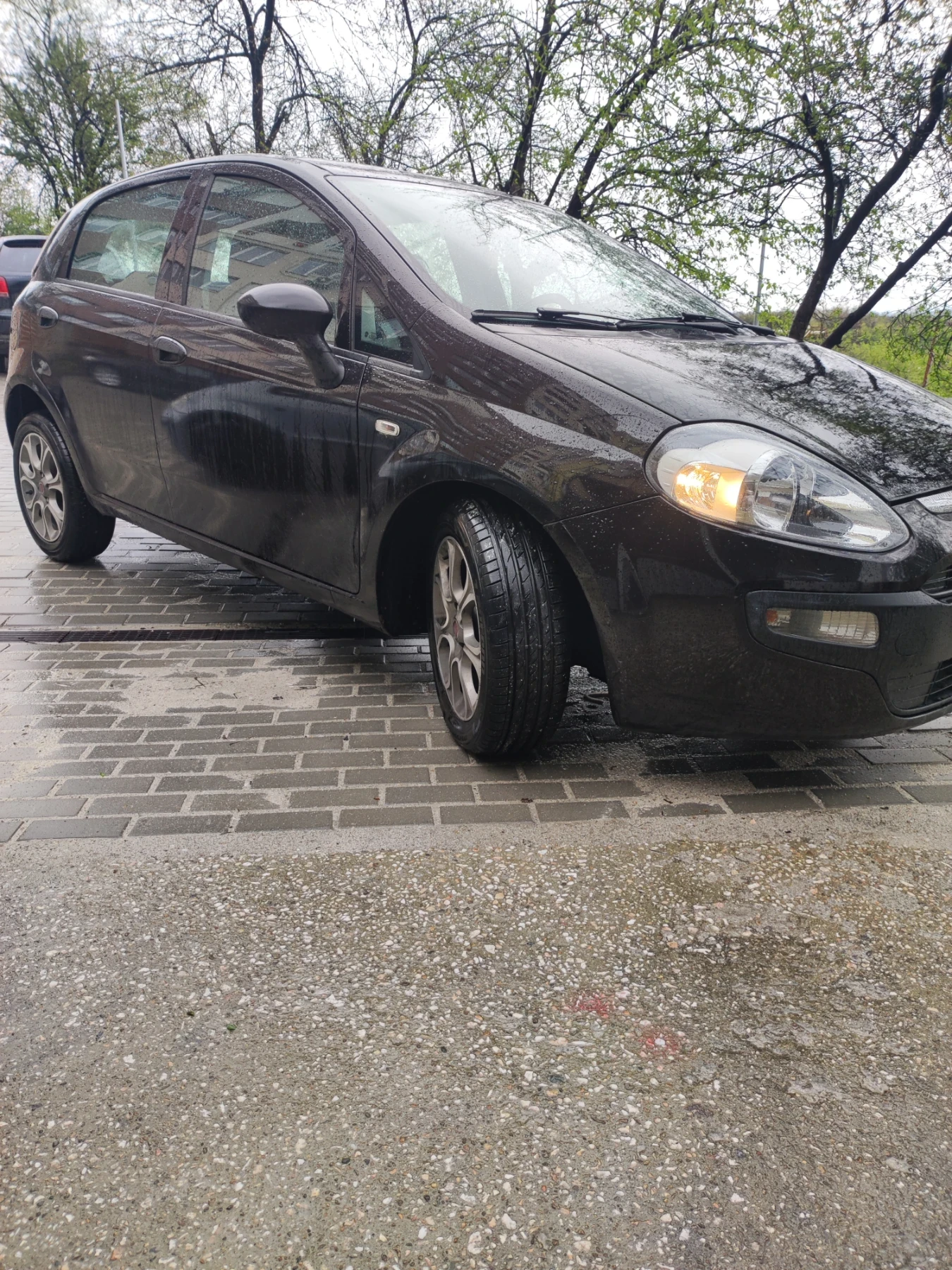 Fiat Punto EVO | Mobile.bg   1