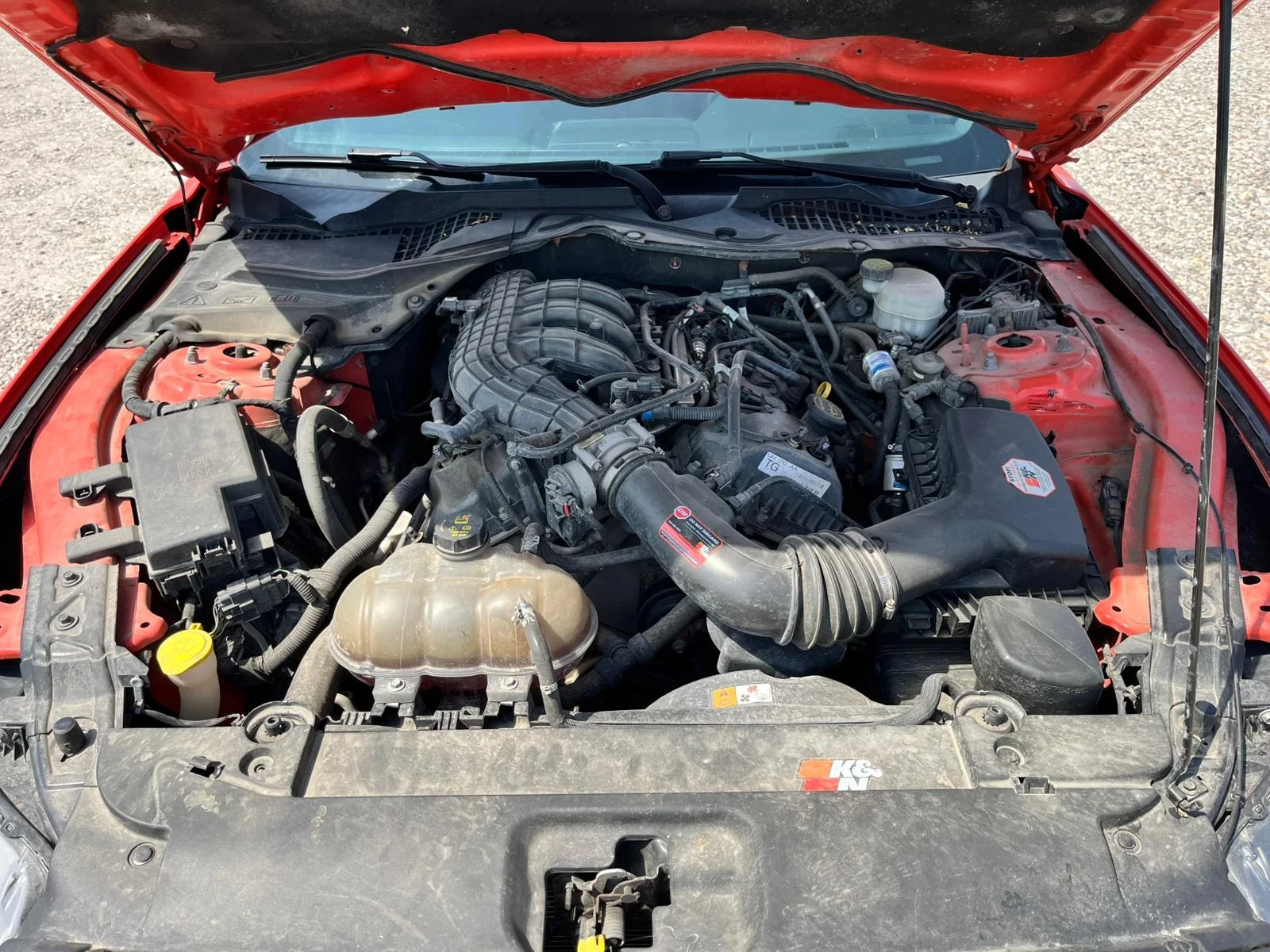 Ford Mustang 3.7 - изображение 10