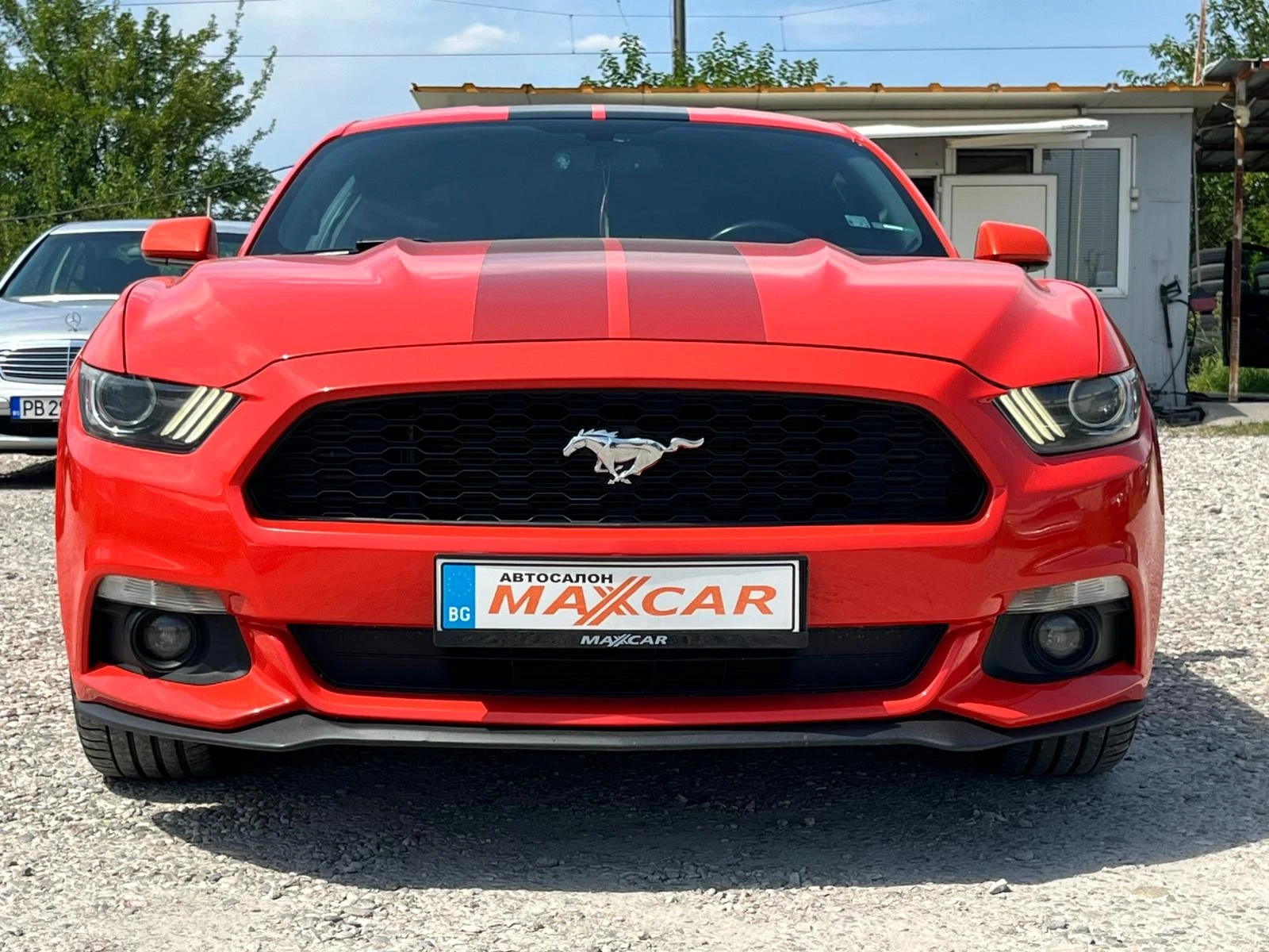 Ford Mustang 3.7 - изображение 2