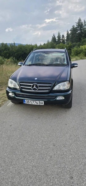 Mercedes-Benz ML 270, снимка 1