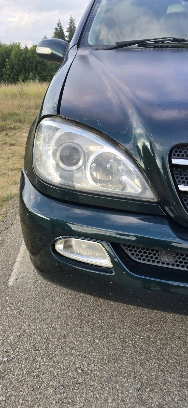 Mercedes-Benz ML 270, снимка 4 - Автомобили и джипове - 55598130
